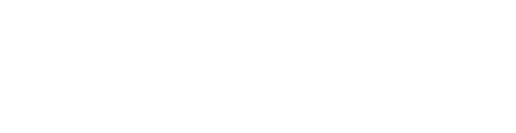 Coastal Bridge