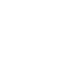 Transport Engineering + Consultancy